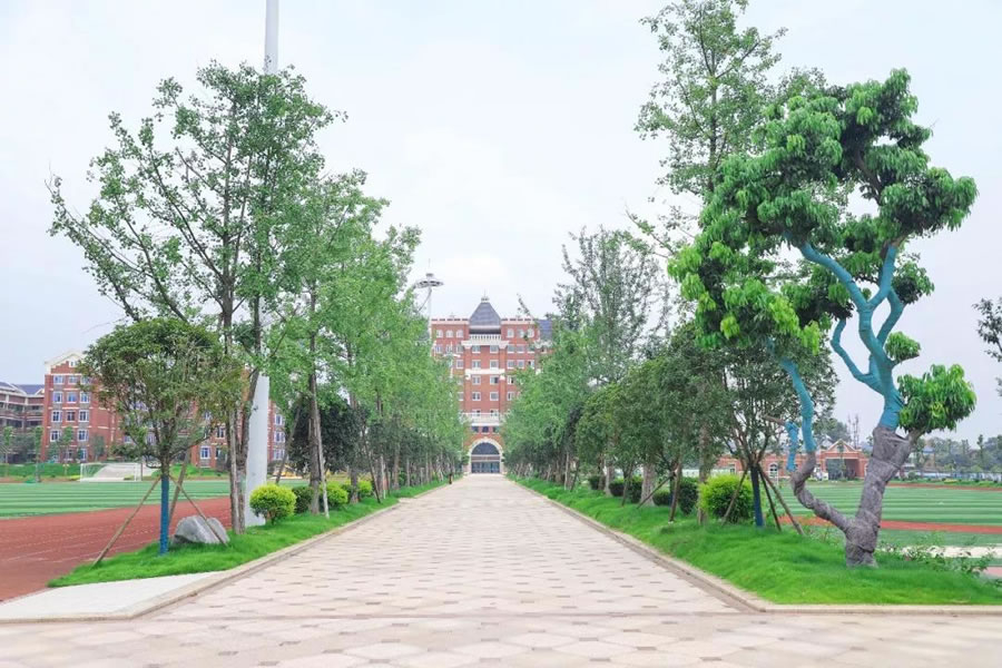 宜賓東辰國際學(xué)校